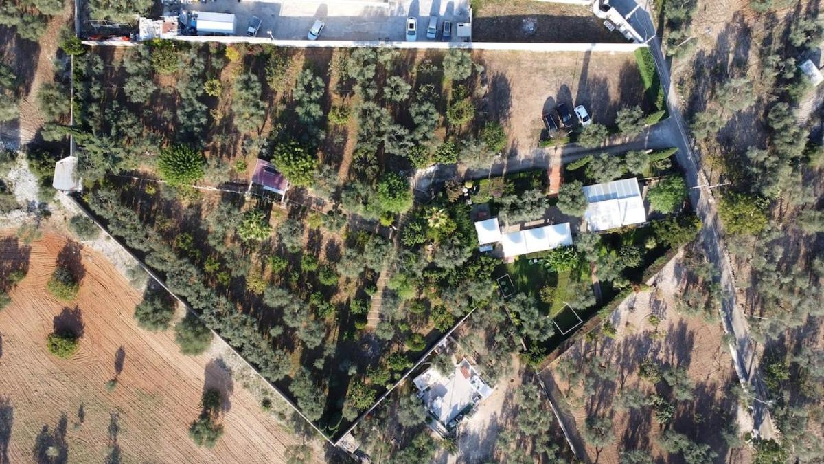 Countryhouse Gli Ulivi Модуньо Екстериор снимка