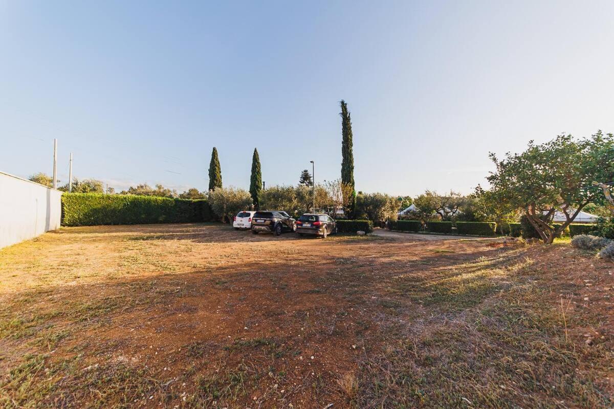 Countryhouse Gli Ulivi Модуньо Екстериор снимка